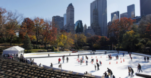 l_604centralpark.jpg-348×180