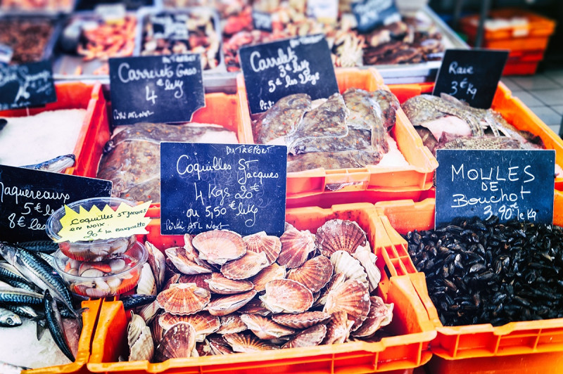 l_french-trips-to-normandy-oyster-farm-2