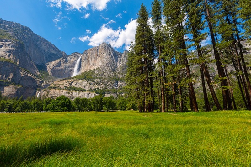 l_school-trip-to-california-yosemite
