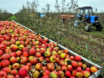 m_school-trips-abroad-pomme