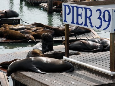 m_school-trips-to-america-san-francisco