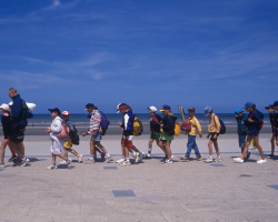 Primary School Trips Abroad