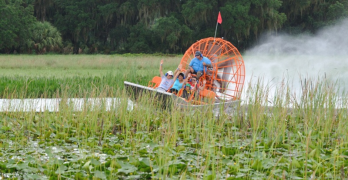 l_boggy-creek-airboat-tours-orlando-florida-central-florida-kissimmee-gallery-images-24.jpg-348×180