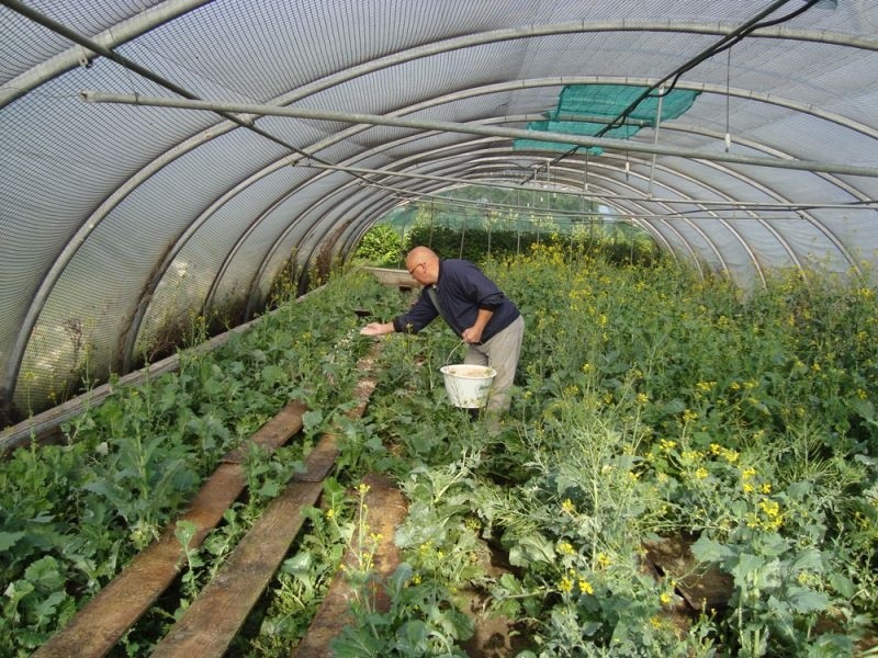 l_french-trips-opal-snail-farm