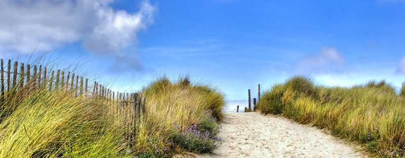 l_school-trips-opal-5