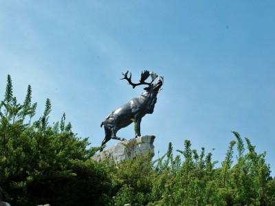 m_history-school-trips-beaumont