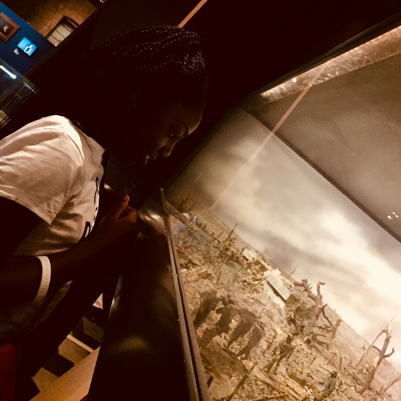 museum battlefield scene