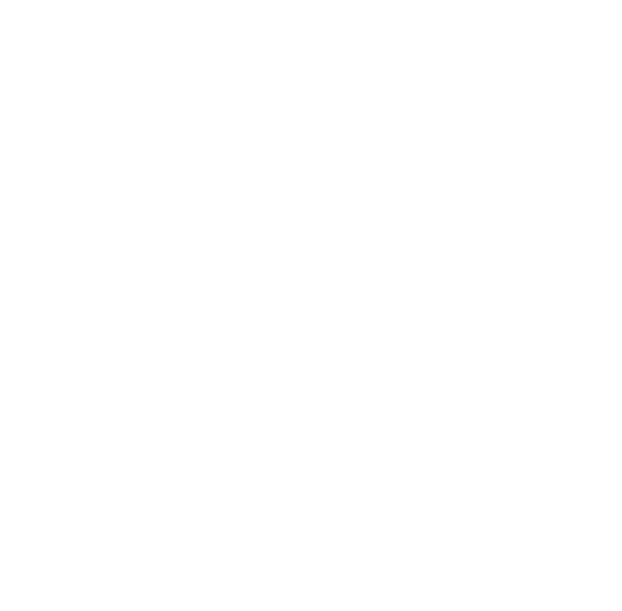 STF_White-Logo