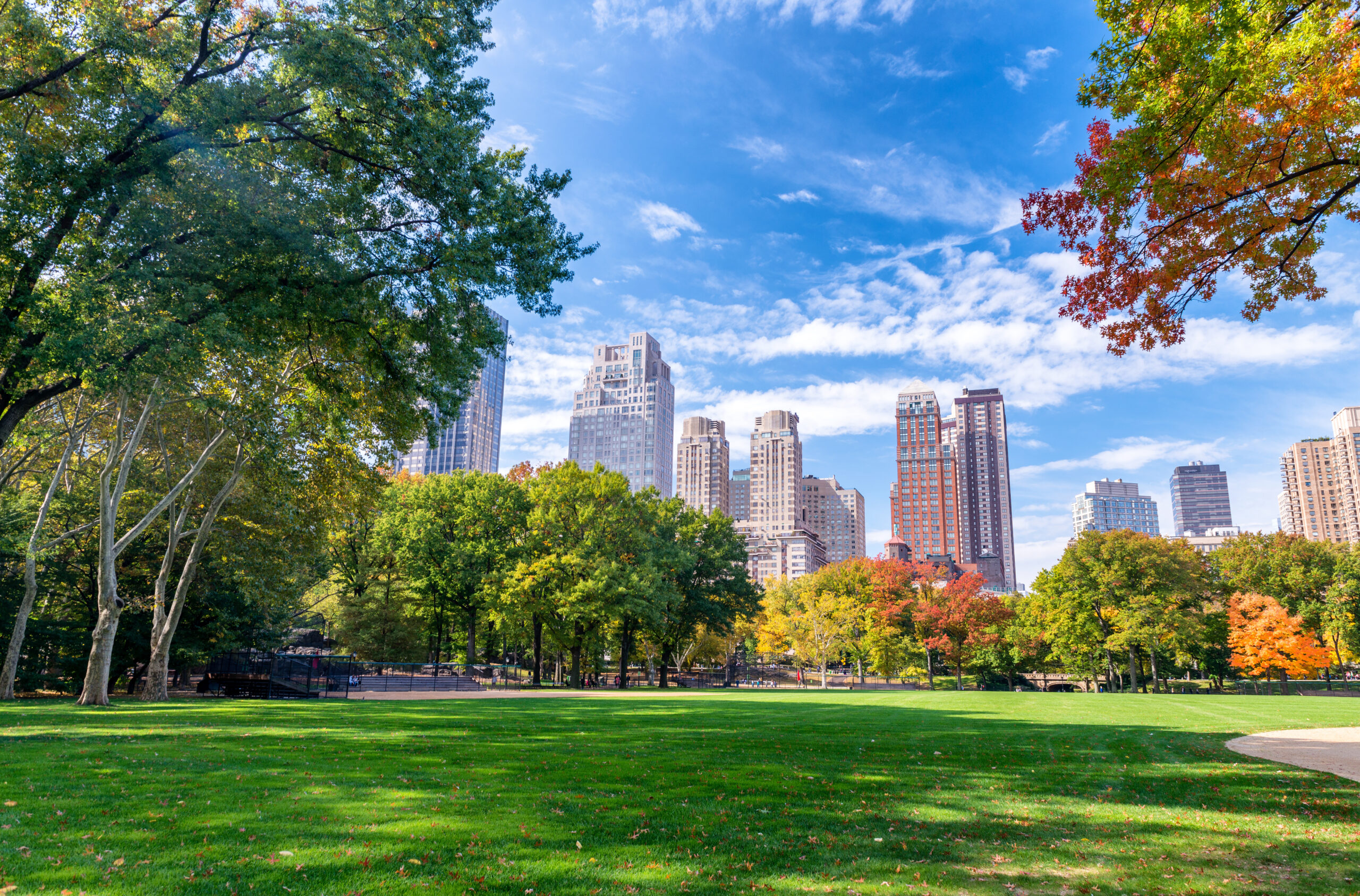 Beautiful foliage colors of New York Central Park